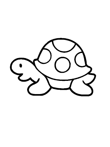 cute turtle coloring pages animal drawings coloring pages cute turtle coloring pages animal drawings coloring pages