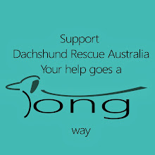 Puppy Dog Rescue Albany Wa Puppy Dog Rescue Albany Wa