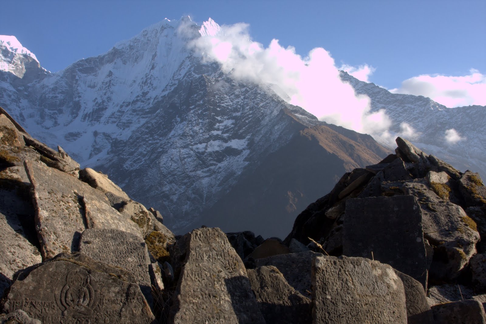 Retail Sex Toys Bronx Ny Double Penetration Citytriathlon