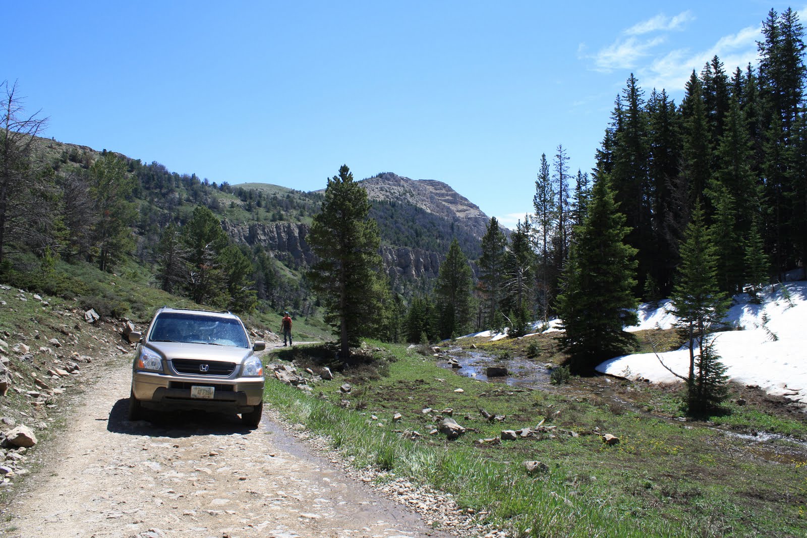 Living and Dyeing Under the Big Sky Picket Pin Road