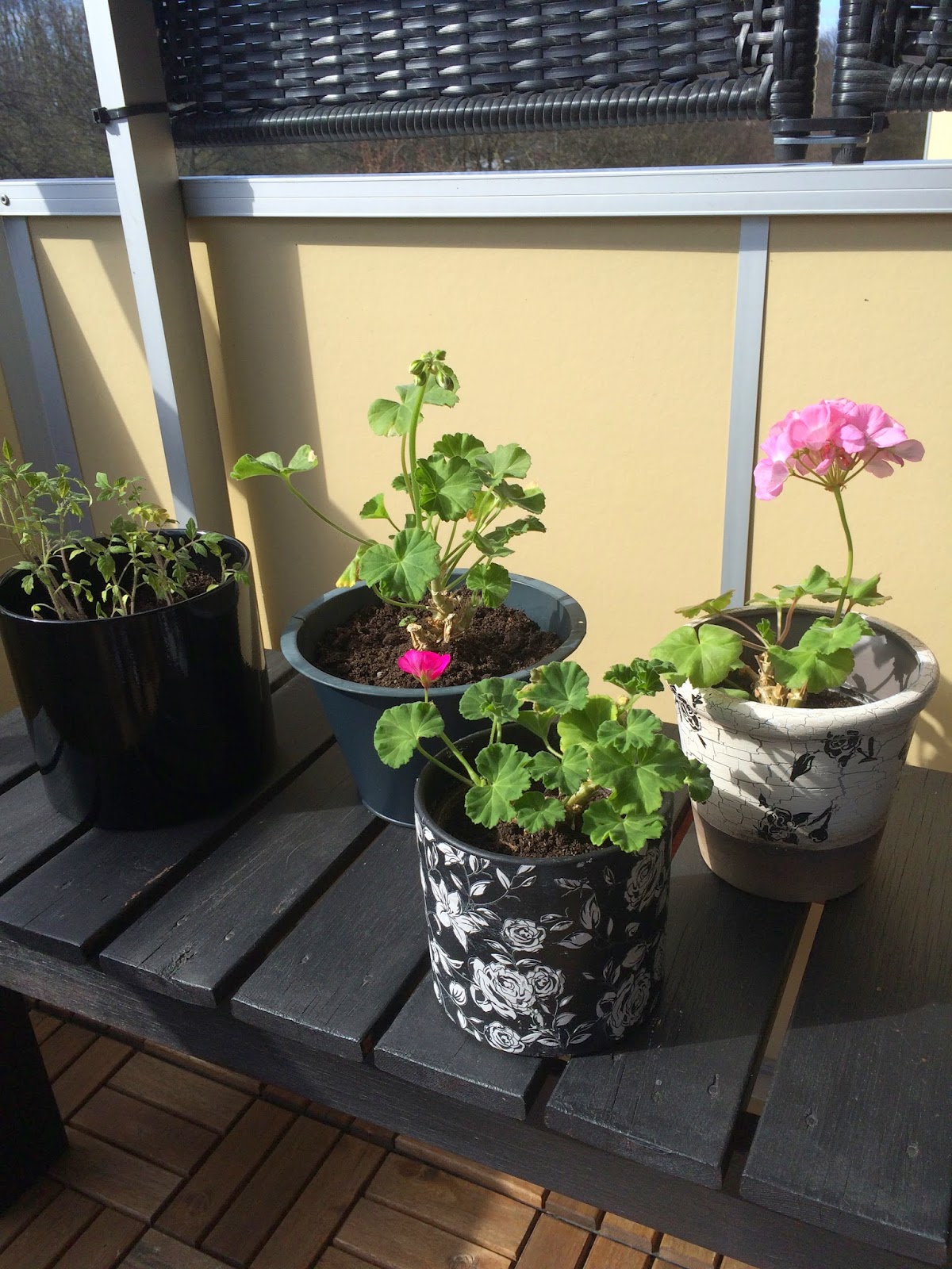 Välkommen till shihtazz: april 2015