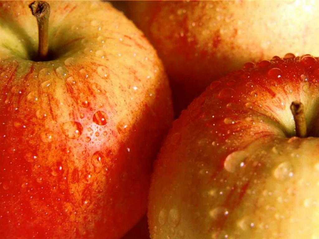 http://2.bp.blogspot.com/-s0c_zl6a3B0/T7kAXKWW8tI/AAAAAAAAJXQ/51JFJn-kR5w/s1600/Juicy_Fruit.jpg
