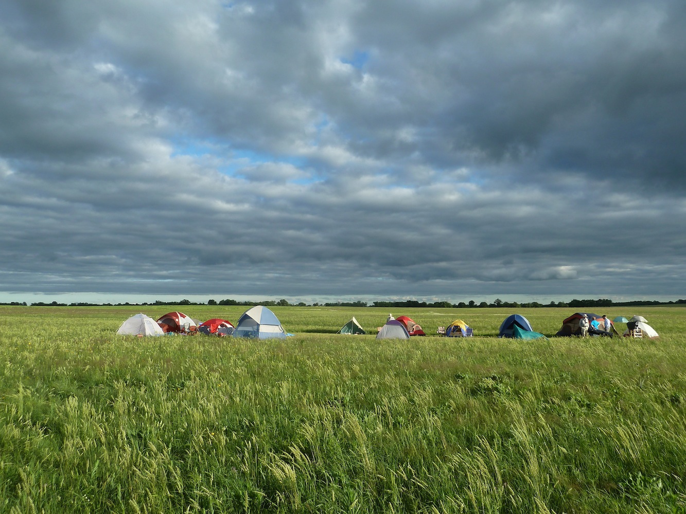 Springfield Plateau Prairie Bioblitz