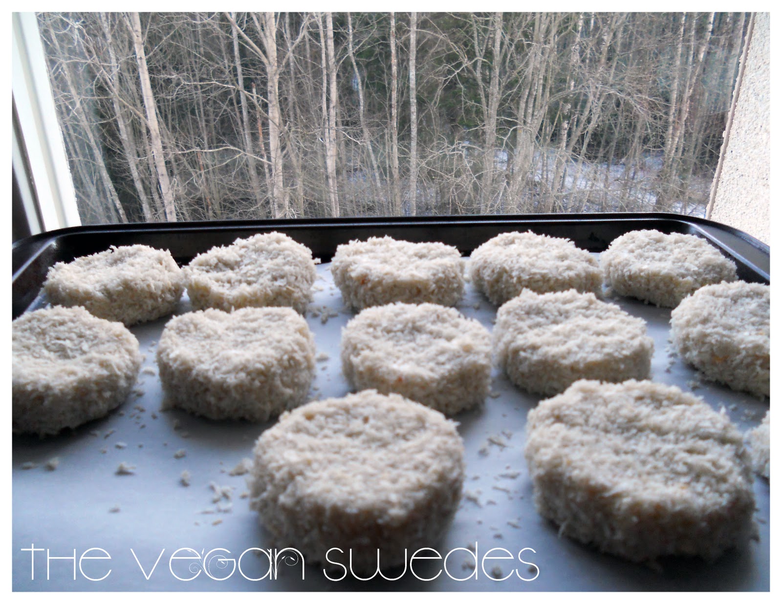 The Vegan Swedes CauliRice Patties