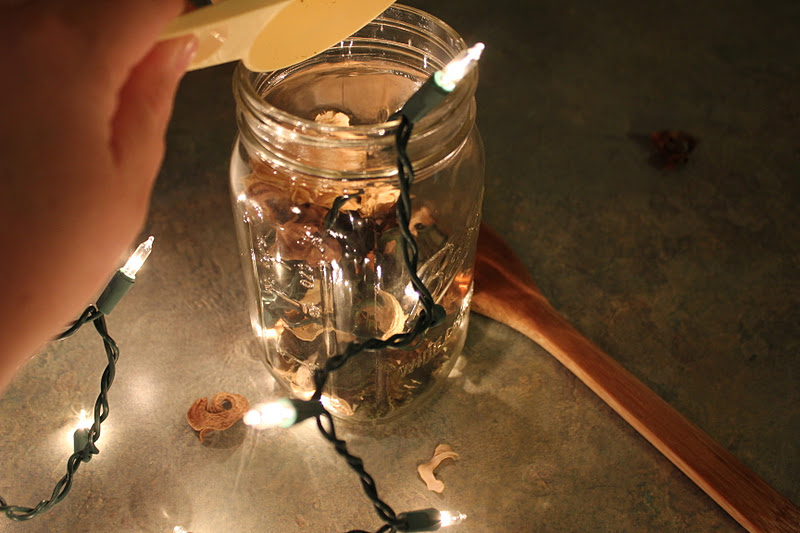 Reflections in the Window Canning Jar Potpourri Warmer