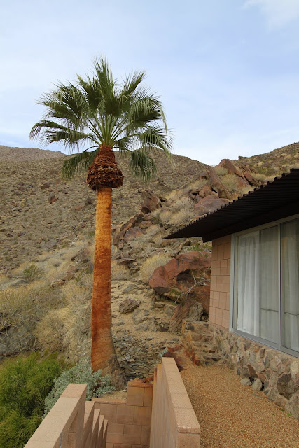 Frey House II, Palm Springs Modernism Week 2013