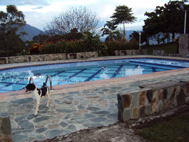 Finca: "El Palmar"