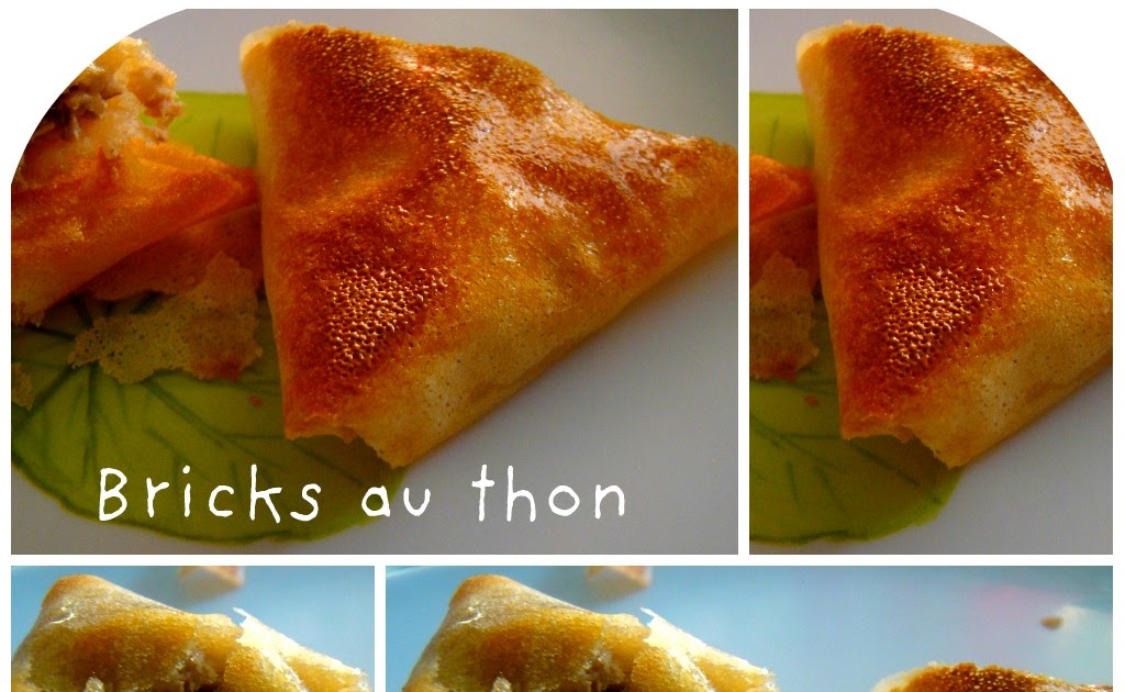 bricks au thon thon applications