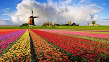 Holanda