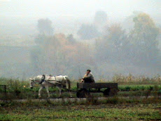 Harvest Time in Ukraine