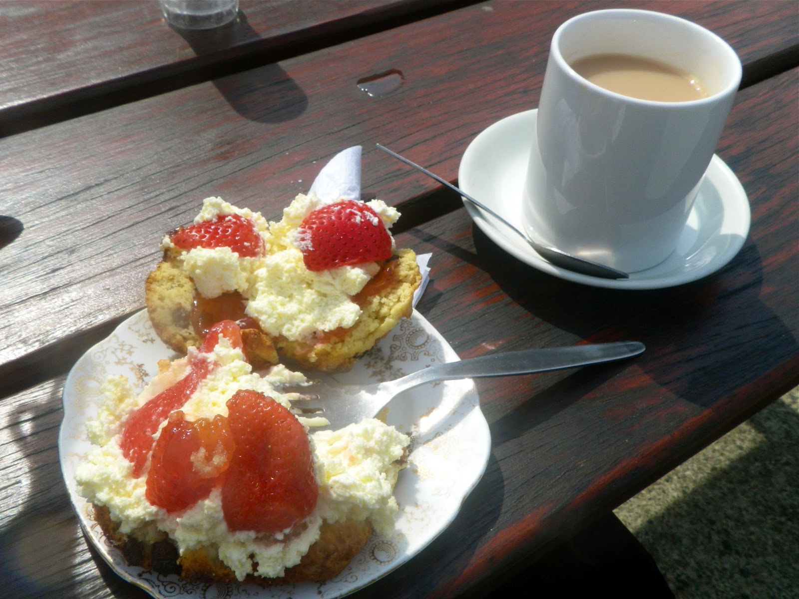 Sea Kayaking in Wales Anglesey North Wales Specialist Cream teas