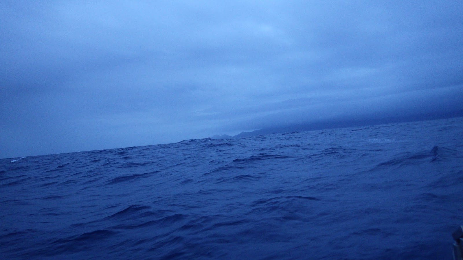 Voyage to the Sargasso Sea Floating islands, island hopping, and a