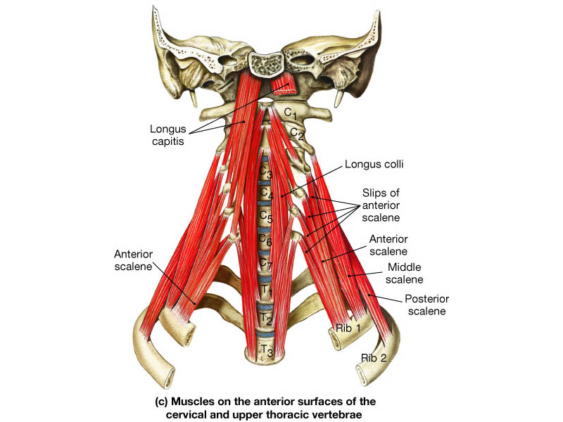 Jean trouillet essay recordings 05 picture