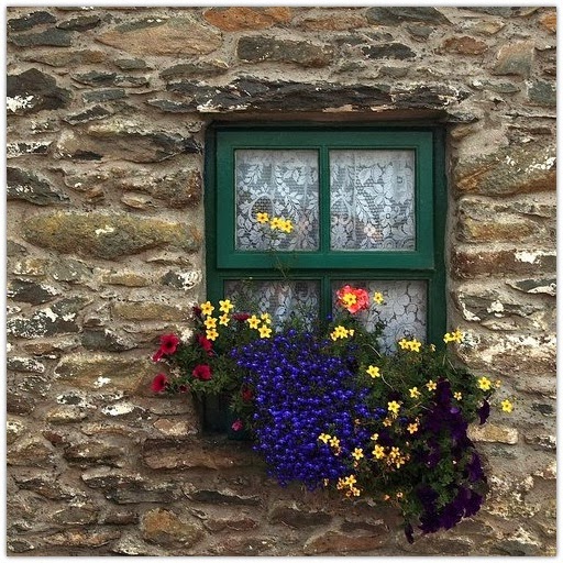 Art Symphony Flowers in the Window