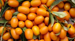 gambar-buah-buahan-segar-460x250.jpg