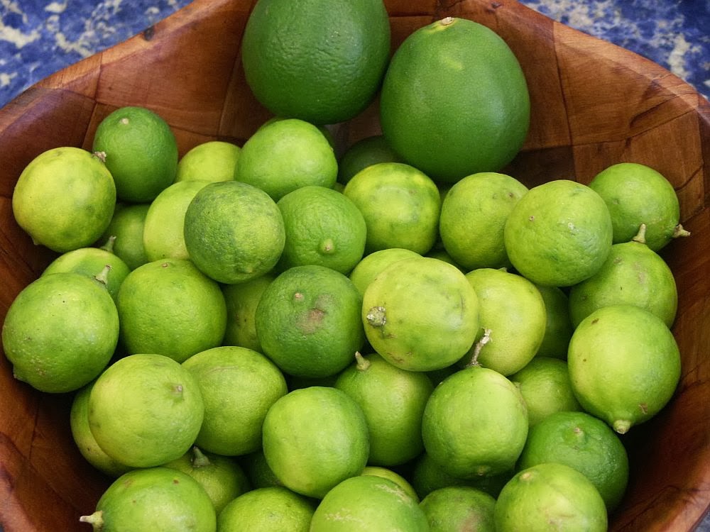 real key lime pie recipe real key lime pie recipe