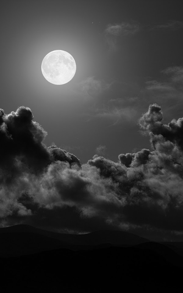Full Moon Night Black And White Android Wallpaper