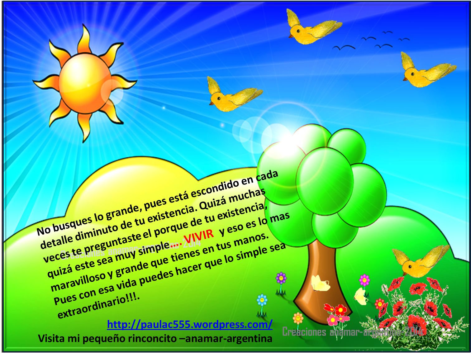 Ver las imágenes de origen