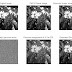 MATLAB CODE - Adding Noise to the Image