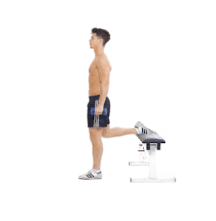 Bulgarian Split Squat Bulgarian Split Squat