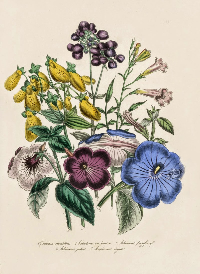 Infotainment @ www.keralites.net Fun & Info @ Keralites.net