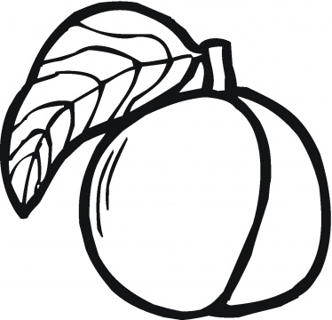 Appricots Coloring Pages Picture To Printable | Team colors