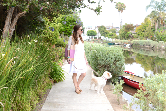 dog walking in venice canals, M Loves M