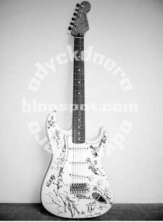 6 Gitar Termahal di Dunia Fender Stratocaster