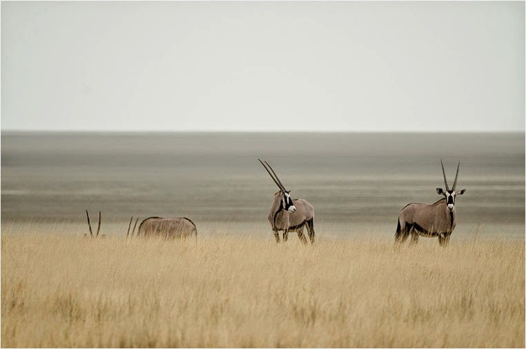 amateur photographers, Best Photo of the Day in Emphoka by Pamela Saunders, https://flic.kr/p/pFKttn amateur photographers, Best Photo of the Day in Emphoka by Pamela Saunders, https://flic.kr/p/pFKttn