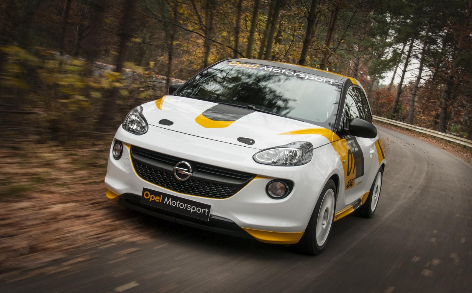 Speedmonkey: Vauxhall/Opel ADAM rally car