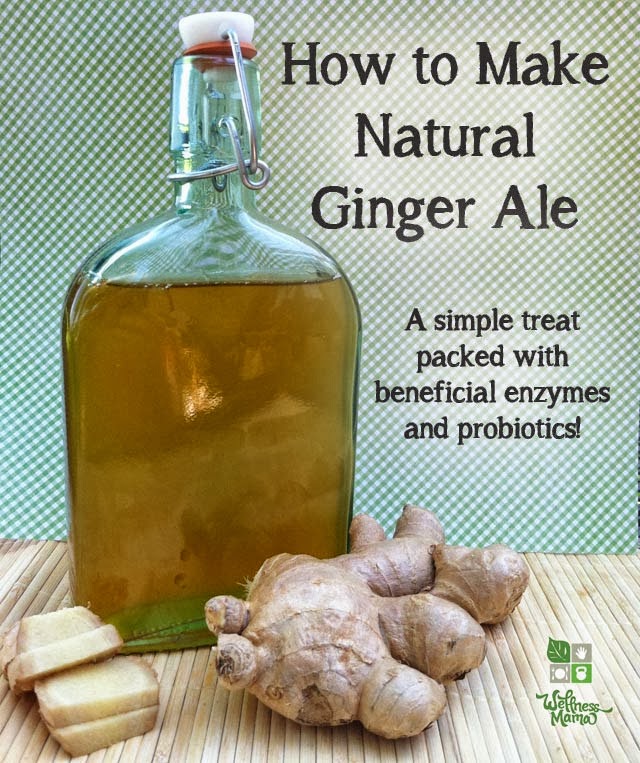 How to make this natural and healthy ginger ale at home Read more at http://www.naturalcuresnotmedicine.com/2013/10/how-to-make-this-natural-and-healthy.html#xBEUR6lvhIbkGflW.99