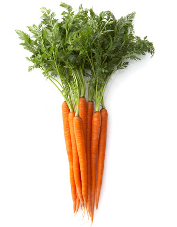 Picture Carrot