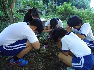 両小ブログ うさぎの埋葬 １０ ７ 水