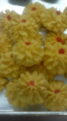 BISKUT RAYA