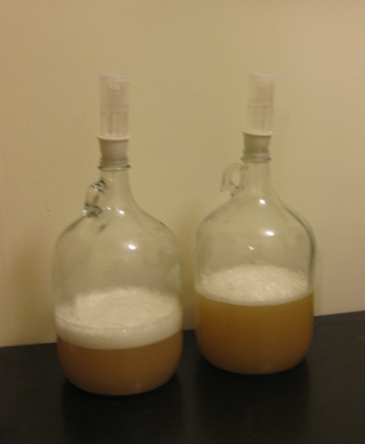 AmbientSpontaneous Yeast Starters The Mad Fermentationist