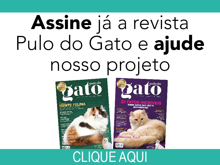 Pulo do Gato