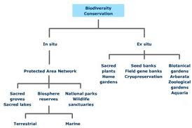 Draft great barrier reef biodiversity conservation strategy 2012