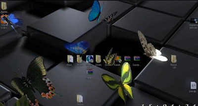 الفراشات الحقيقية على سطح المكتب  Download+Screensavers+real+butterflies+%5BFull+++Serial%5D