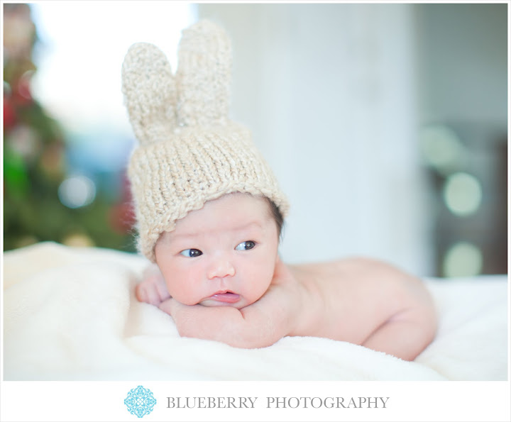 oakland bay area newborn baby infant photography session