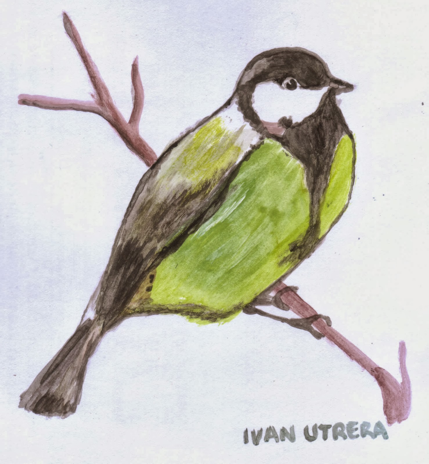 pájaro en acuarela | Dibujo a lápiz, Reciclaje, Tallado en Madera pájaro en acuarela | Dibujo a lápiz, Reciclaje, Tallado en Madera