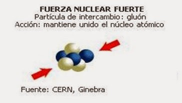 ¿Qué mantiene unidos a los núcleos?