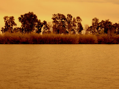 delta ebro carrilet desembocadura rio ebro 