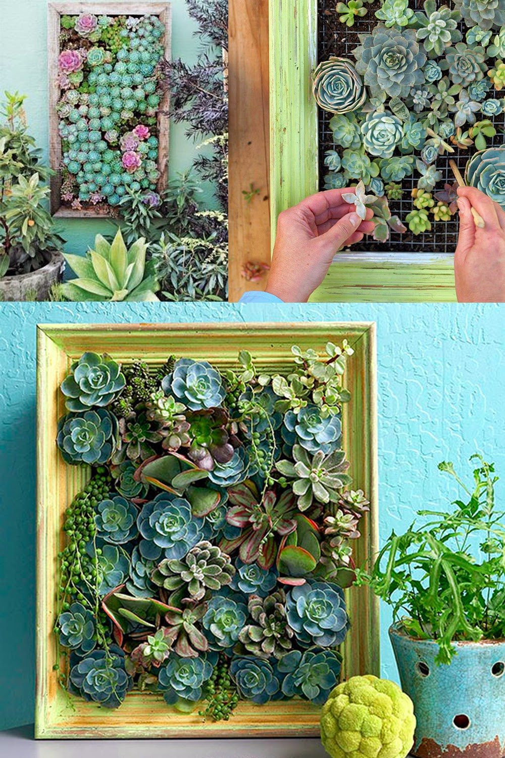  Can You Come Home Floral + Garden Inspired Living 5 Vertical Succulent Garden Tutorials