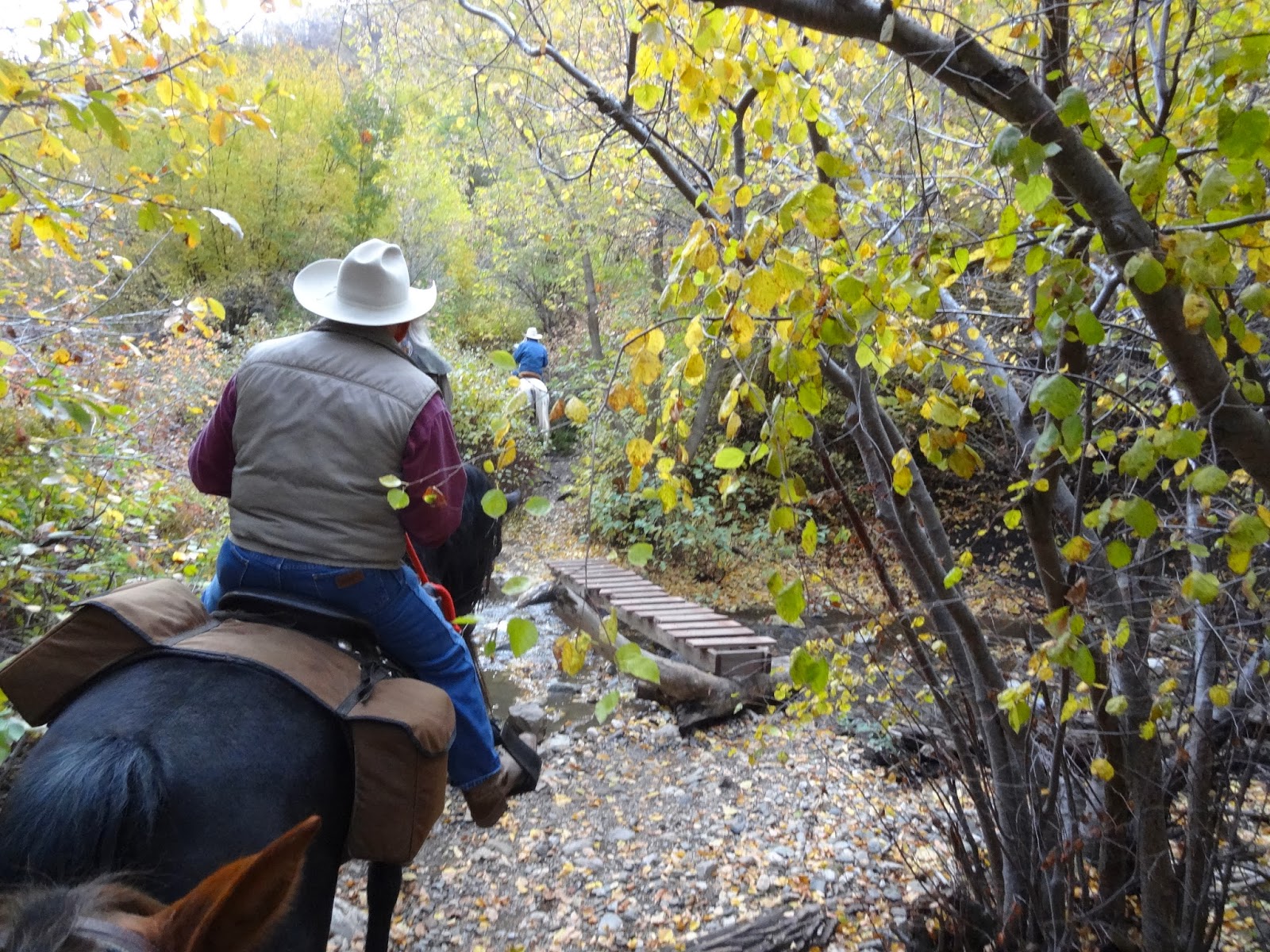 Dream Packer Trail Adventures Holbrook Canyon, Bountiful, Utah