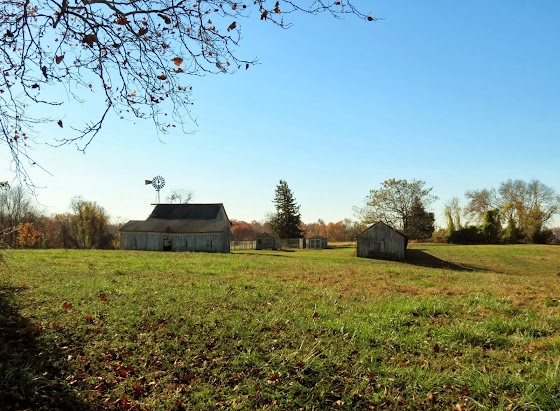 buildings