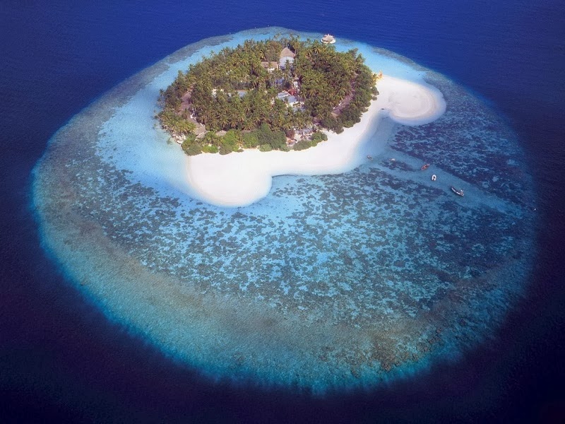 Island in the Maldives Island in the Maldives
