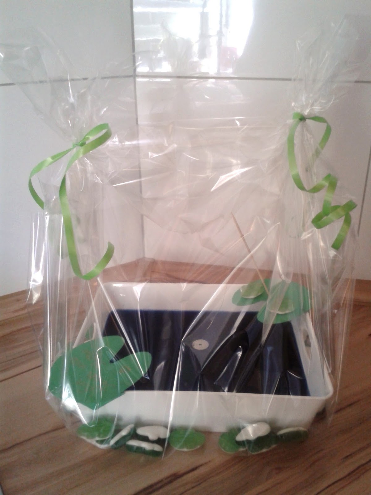 Geburtstags Ideen Diy Geschenk Ideen Muttertag Geburtstag