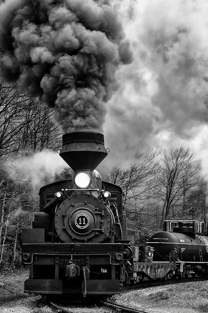 Shay #11 freight train At Cass Scenic Railway