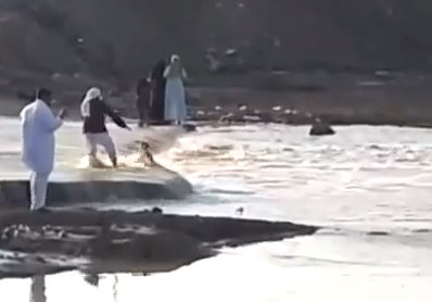 ����� ���� ����� ���� ������� �������