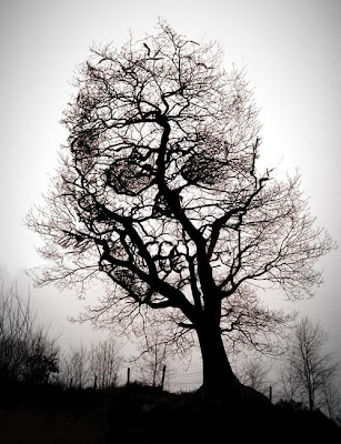 arbol del ahorcado acertijosymascosas